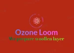 Business logo of Ozone Loom