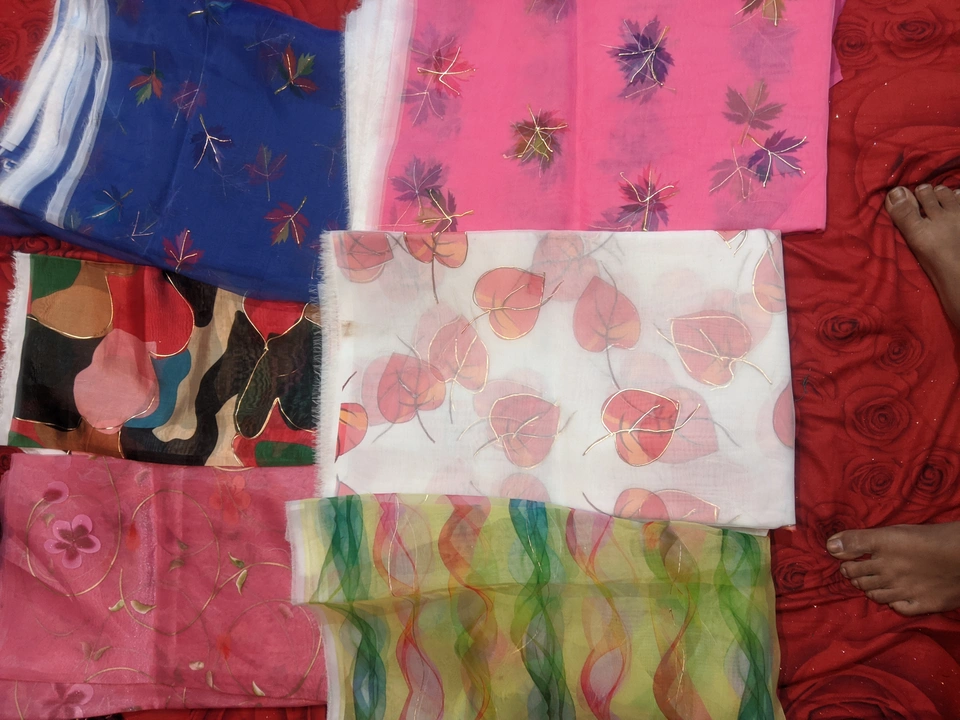 Work organza uploaded by Misbah collection on 6/2/2024