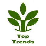 Business logo of TopTrends
