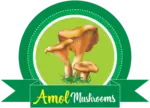 Business logo of AMOL MUSHROOM' S