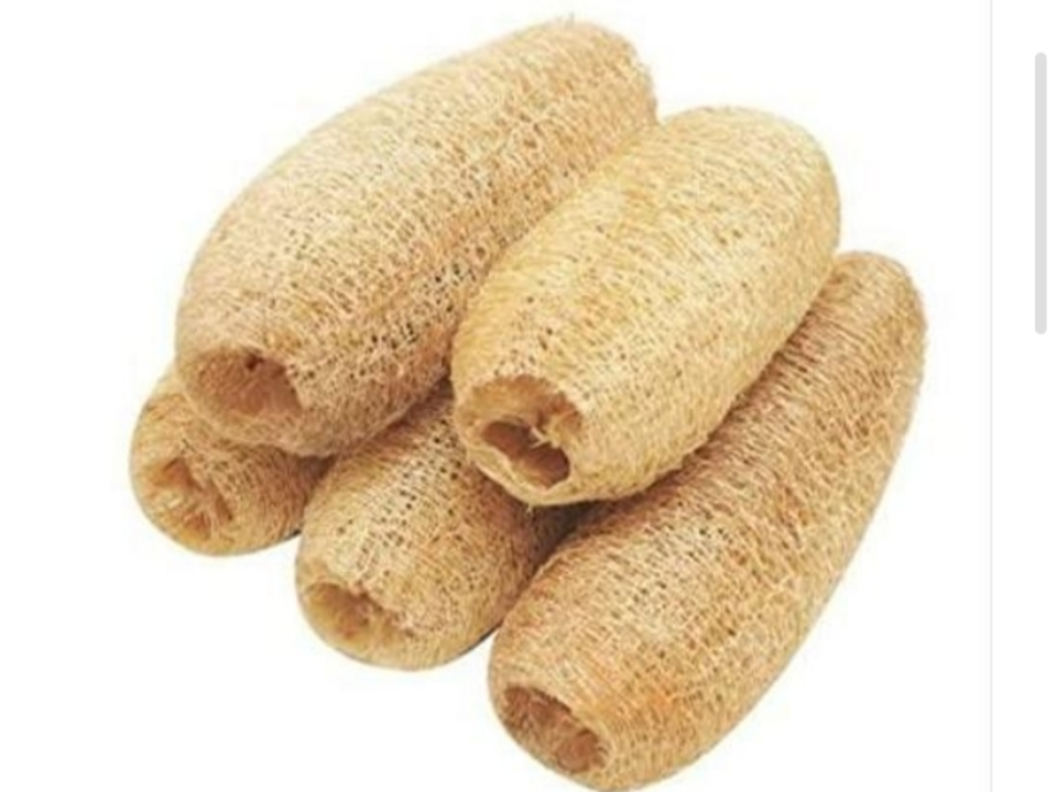 Loofah scrubber  uploaded by Parmar taxtile  on 5/9/2023