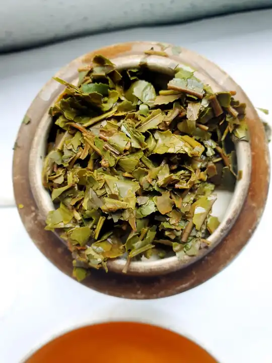 Darjeeling First flush Tea  uploaded by Darjeeling tea Tips on 5/10/2023