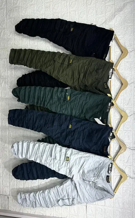 Six pocket cargo pant uploaded by business on 5/11/2023