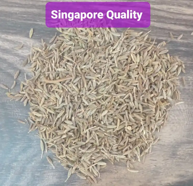 Export Quality Jodhpuri Jeera/Cumins Seeds  uploaded by Mahadev Traders Jaipur on 5/30/2024