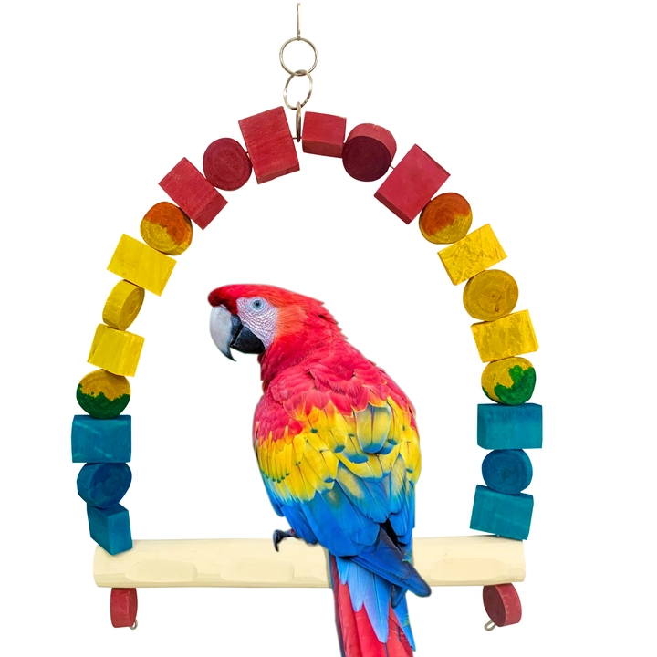 Macaw colour swing uploaded by business on 5/16/2023