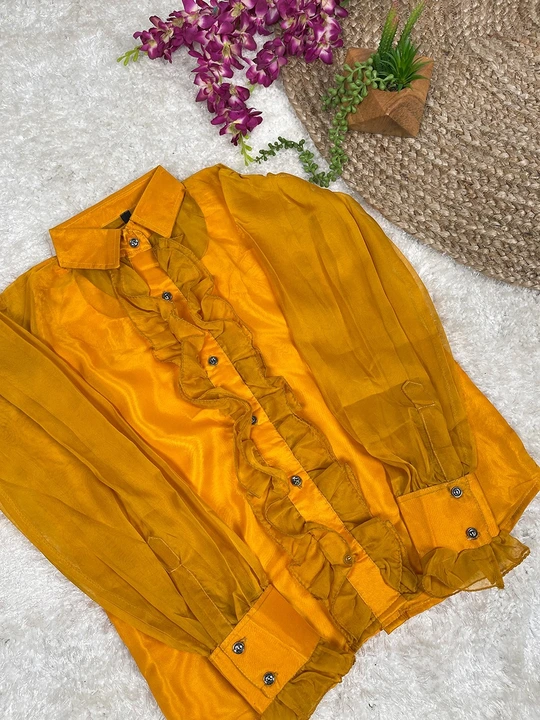 Our organza Shirt is a chic style to add your wordrobe! uploaded by Bandhani handcrafted on 5/31/2024