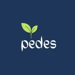 Business logo of Pedes