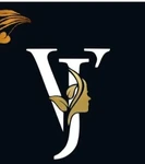 Business logo of Vj ladies outfit
