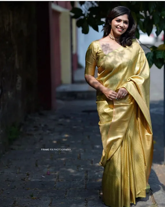 Rich pallu with zari design saree  uploaded by DHANANJAY CREATIONS on 5/18/2023