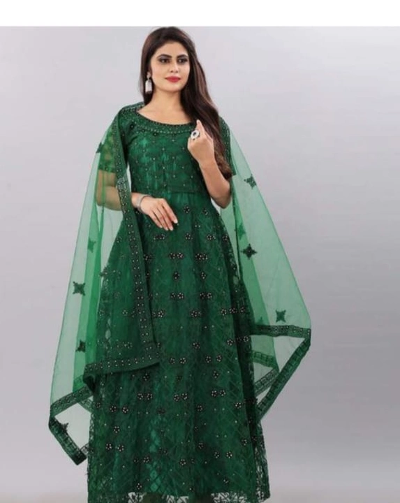 Net Dress uploaded by Vraj-Vihar Synthetics on 5/18/2023