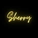 Business logo of Sherrytheshop 