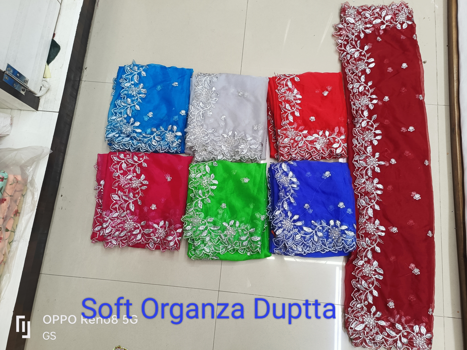 Organza Duptta  uploaded by business on 5/20/2023