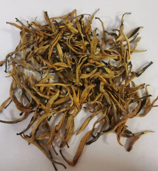 Golden buds  uploaded by Darjeeling tea Tips on 5/21/2023