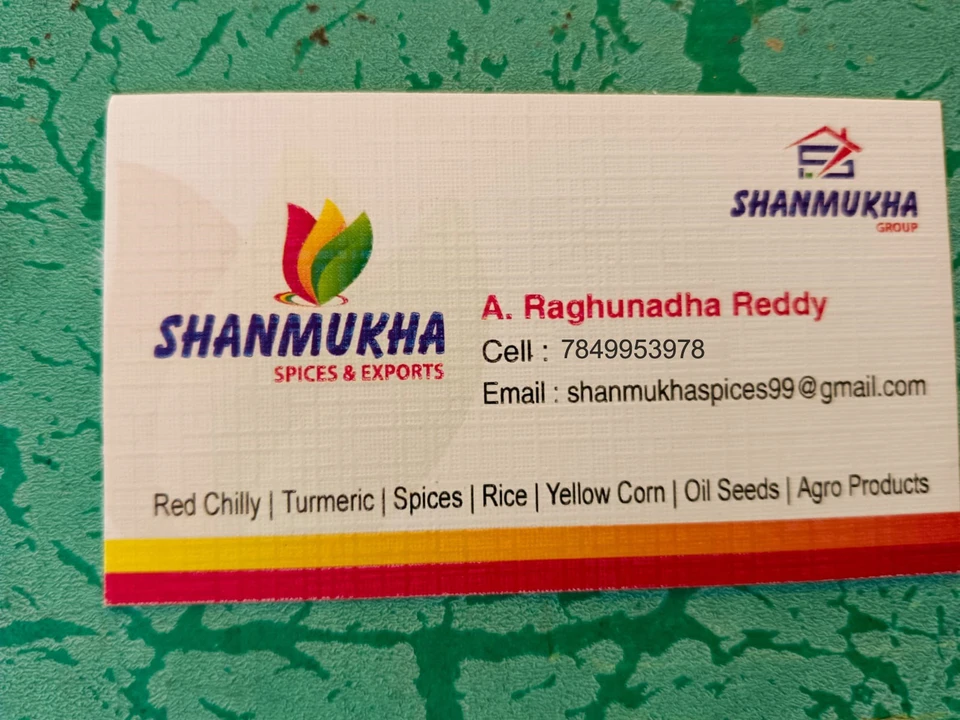 Visiting card store images of SHANMUKHA Holseellare