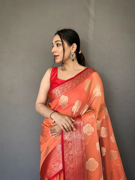 Pure Organza Saree uploaded by VARDHAK COLLECTION  on 5/24/2023
