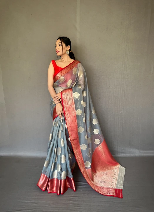 Pure Organza Saree uploaded by VARDHAK COLLECTION  on 5/24/2023