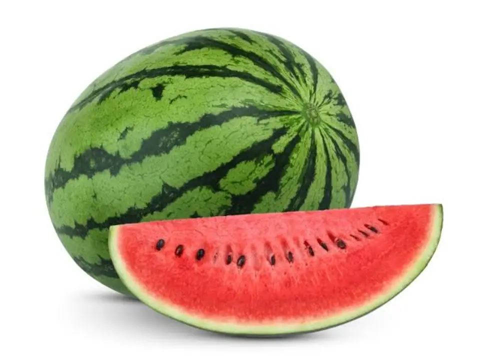 Watermelon  uploaded by Growloc on 5/25/2023