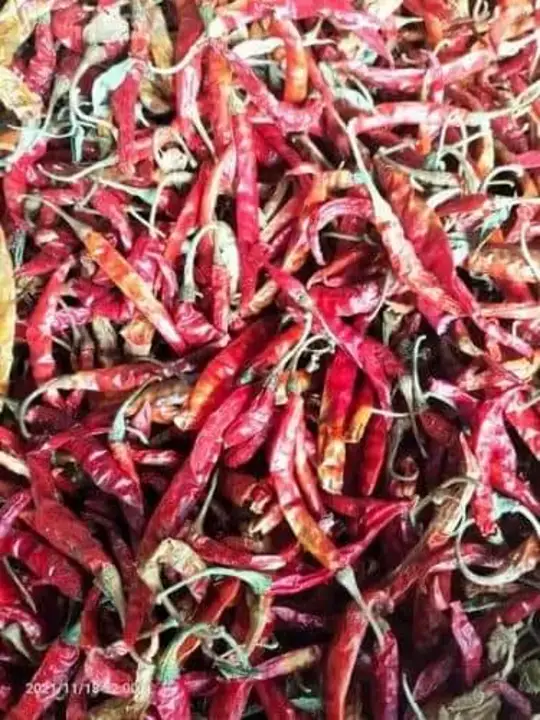 Post image Teja fatki 
All Red chillies varieties
Available
All india dilevery available
Contact number
7849953978