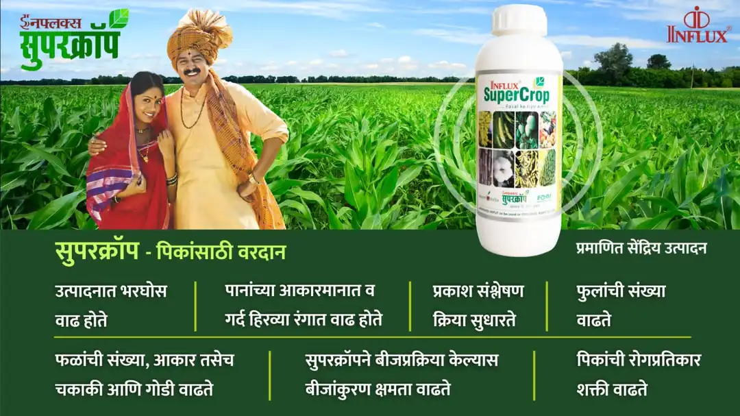 Agriculture fertilizer ( super crop)  uploaded by A1 Products on 5/28/2023