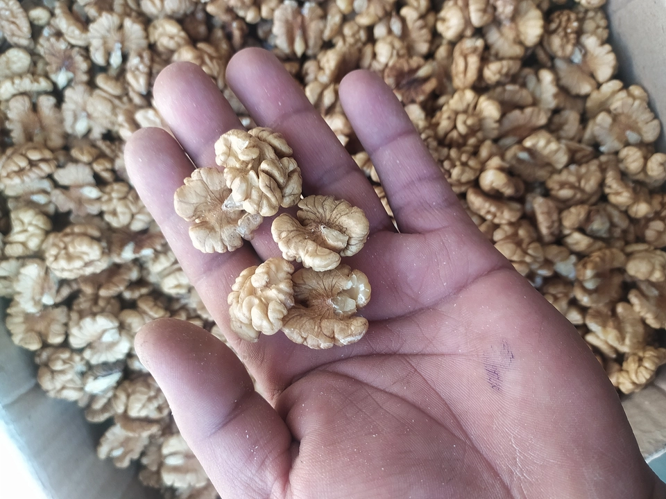 Kashmiri walnut kernel  uploaded by Jk famous dryfruits and saffron on 5/28/2023