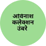 Business logo of अविनाश कलेक्शन उंबरे