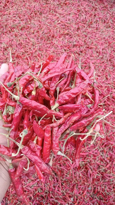 Factory Store Images of Red chili wholesaler