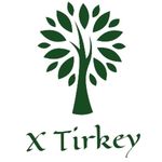 Business logo of X Clothes
