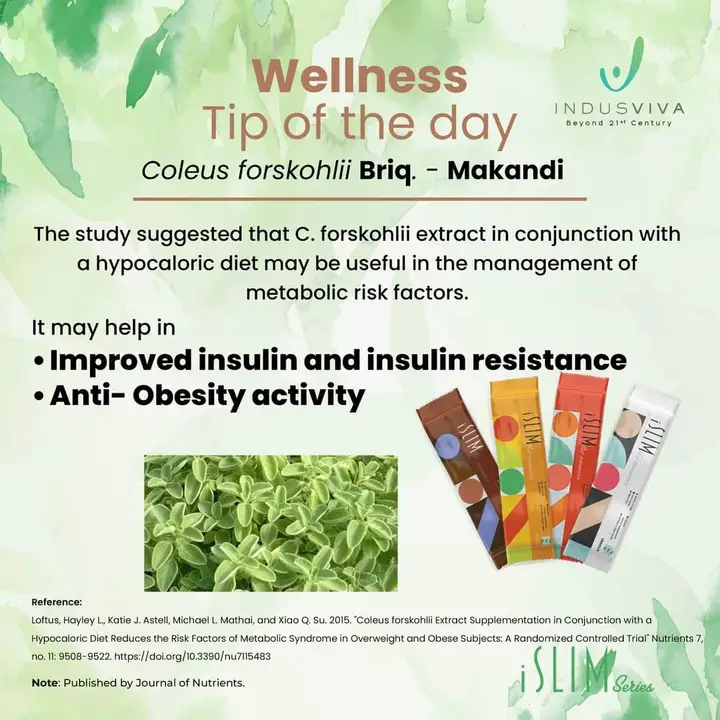 Post image 👋🏼 Hey there!iSlim: Fuel your weight loss journey and reveal a slimmer, more vibrant you. 🫵💪

Get your ISLIM FR...: Read more http://www.wecarehealthwellness.co.in/latest-update/islim-fuel-your-wei/86
🏷️ Check our online catalogue, http://www.wecarehealthwellness.co.in/all-products
📞 Feel free to call 6359046000 if you need any help.