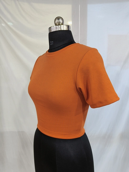 Half sleeve round neck crop tshirt uploaded by KAUSHAL KAKADIYA on 6/2/2023