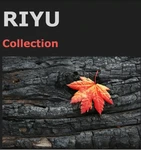 Business logo of Riyu Collection
