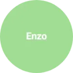 Business logo of Enzo