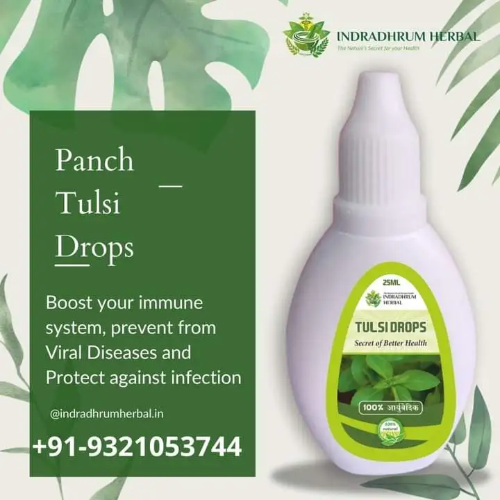 Panch Tulsi drop uploaded by INDRADHRUM HERBAL on 6/4/2023