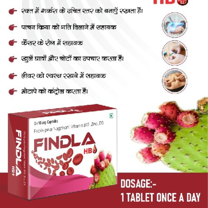 Findla capsule uploaded by business on 6/4/2023
