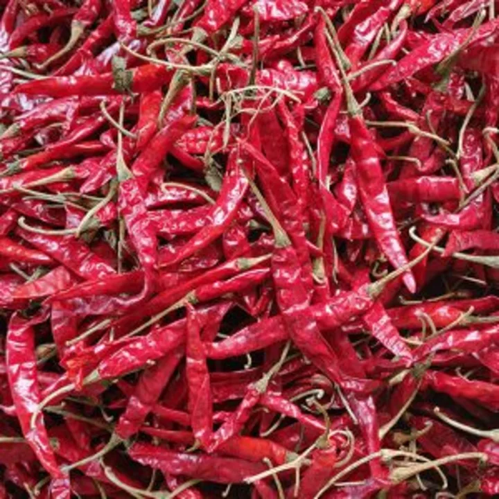 Red chilli Teja best uploaded by Sathya Sai enterprise on 6/4/2023