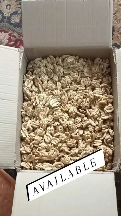Kashmiri walnut ghiri  uploaded by business on 6/5/2023