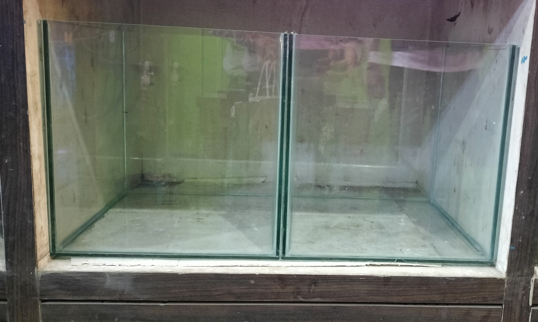 Aquarium Glass Tank for sell  uploaded by Aqua wiggle on 6/6/2023
