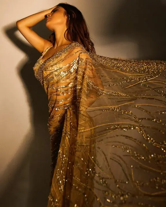 Beige colored net sequence worked saree  uploaded by Celeb Styles on 6/7/2023