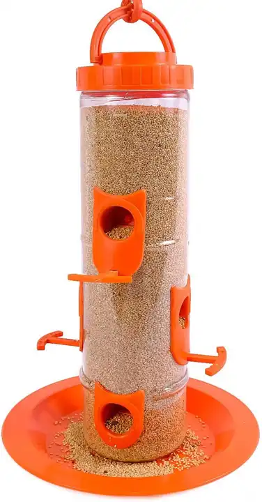 Product uploaded by Birds feeders on 6/7/2023