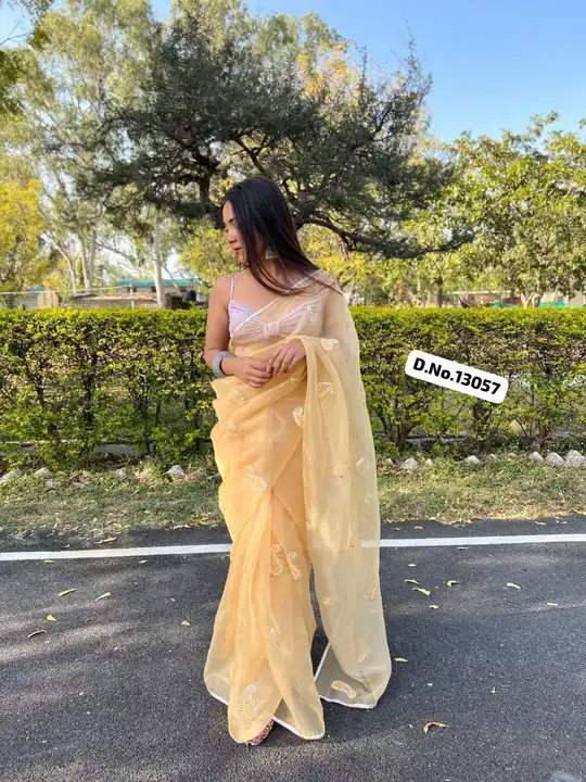 *At Customer's Huge Demand, Now Available With Full Stock...*

*D.No.13057*

*Organza Gotawork saree uploaded by Maa Arbuda saree on 6/7/2023