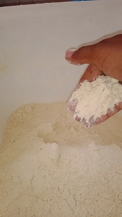 Wheat flour uploaded by Harikrishna flour Mill on 6/8/2023