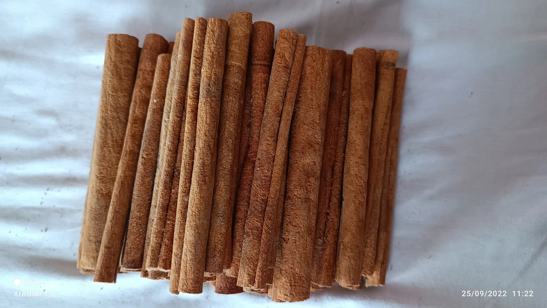Polished Cinnamon Stick uploaded by Globel Trading Co. on 6/8/2023