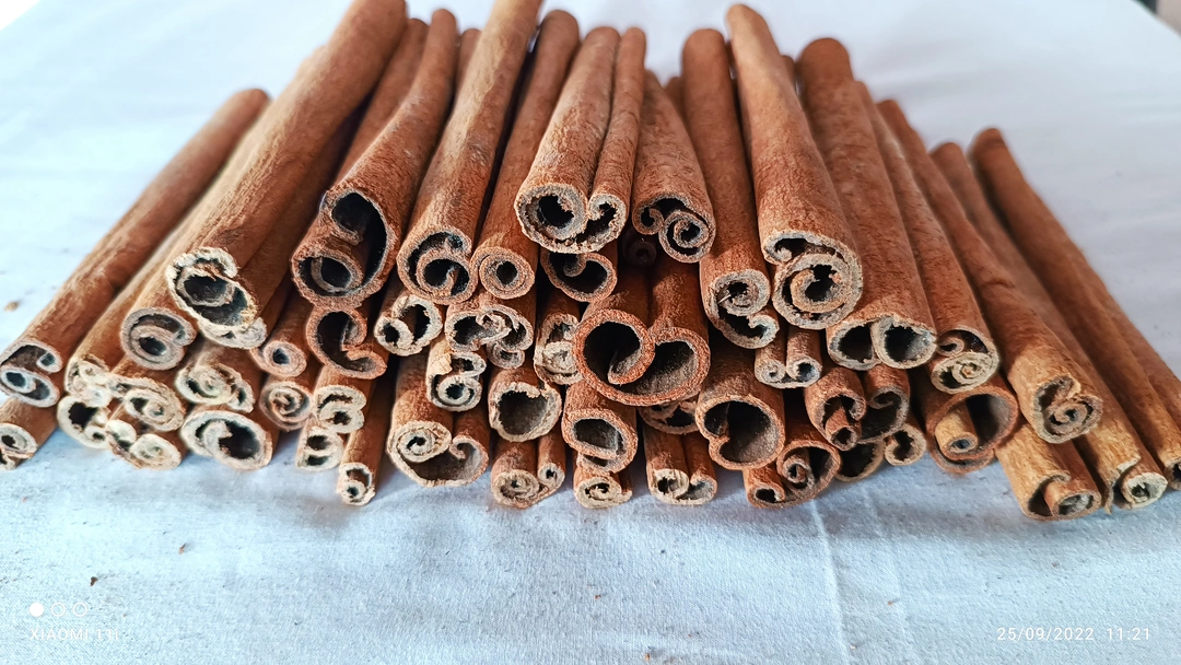 Polished Cinnamon Stick uploaded by Globel Trading Co. on 6/8/2023