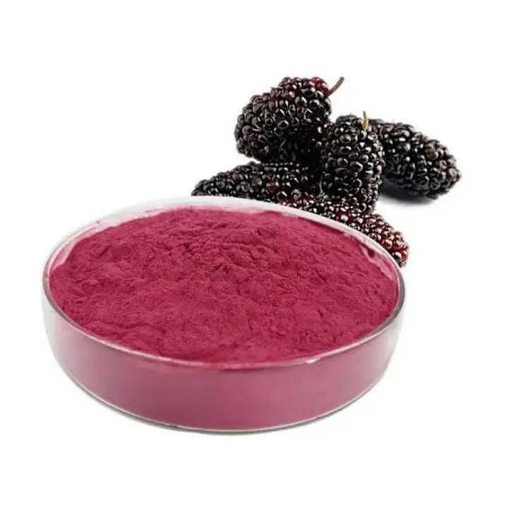 Mulberry Powder  uploaded by business on 6/8/2023