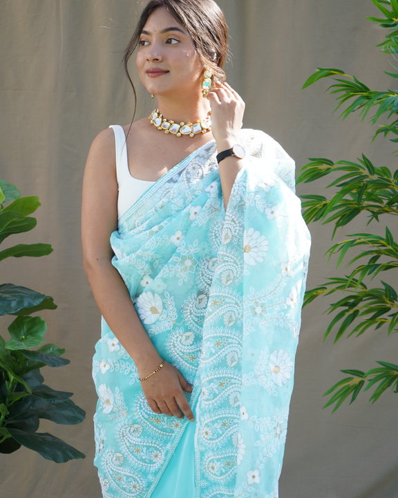 Sky blue heavy chikankari worked pure organza saree  uploaded by Organza mall on 6/8/2023