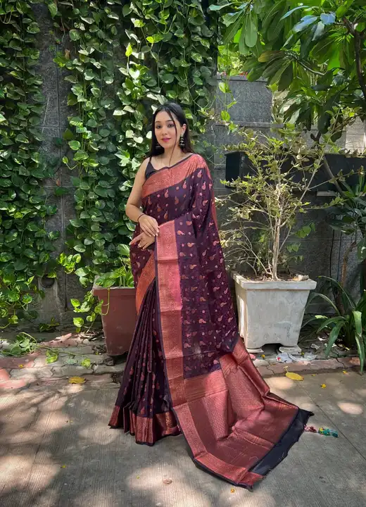 Sarees uploaded by Vishwas fashion on 6/9/2023