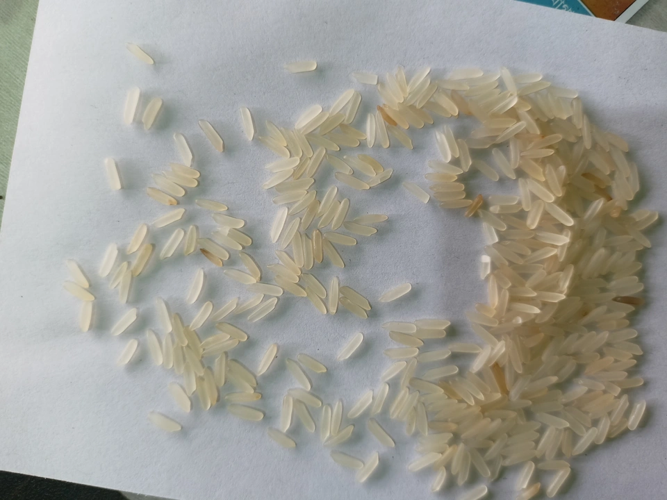 Minikit rice uploaded by RAMKRISHNA ENTERPRISE on 6/9/2023