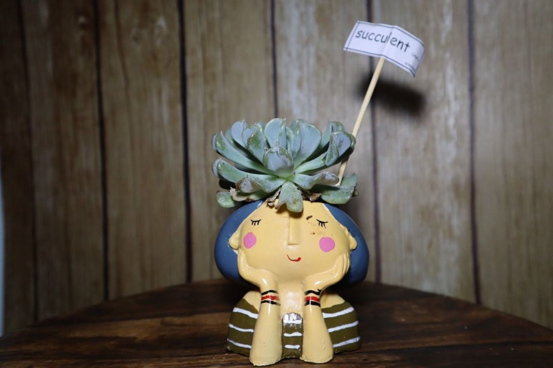 Cute girl planter with succulent  uploaded by business on 3/13/2021