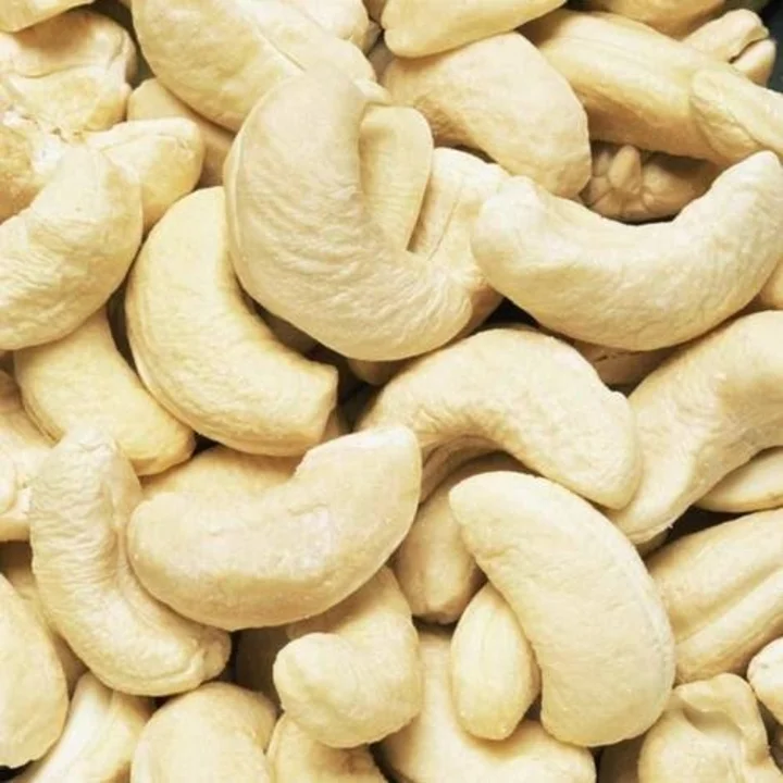 Cashew uploaded by business on 6/13/2023
