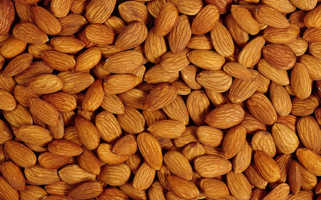American badam uploaded by business on 6/13/2023