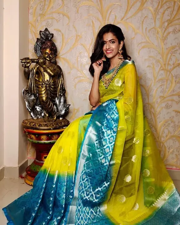 Post image Hey! Checkout my new product called
Organza saree .